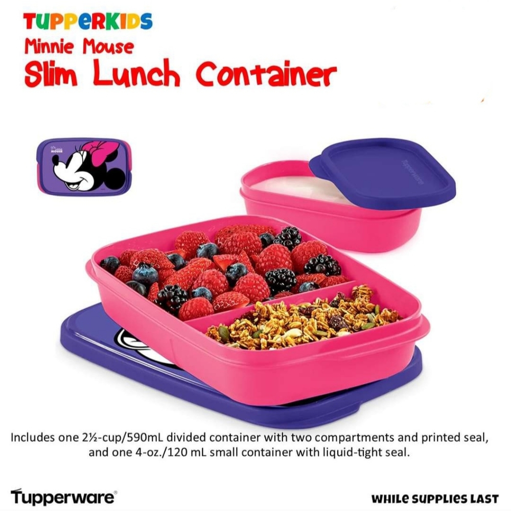 Tupperware slim line container